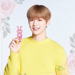 [강다니엘] nielni <b>is</b> everywhere ٩(·•︠ᴗ•︡...