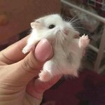 [드루와] 아니 방사능이 왜 무서운 거임??