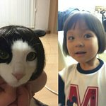 애들아 우리 튱튱이 <b>추사랑</b> 닮았냐옹