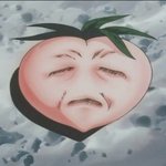 [드루와] 칼하트 후드<b>집</b><b>업</b> 색