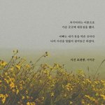 <b>웹드</b> 추천해주랑ㅠㅠㅠㅠ