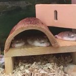 얘들아 웹툰 추천해줄게(๑>◡<๑)