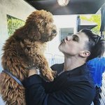 [댓글부탁해] 가수 영블러드 아는사람