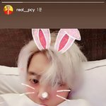 [EXO] 토끼 열스토리ㅠㅠㅠㅠㅠ