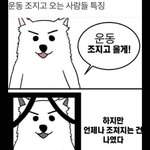 [댓글부탁해] <b>이</b> <b>강아지</b> 그림짤 아는 사람