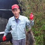 [댓글부탁해] 뉴트리아 잡아서 1억원 번 사람