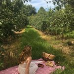 [드루와] 현연<b>습생</b>인데 궁금한 거 물어봐 (프듀도 어느정돈 알아)