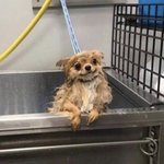 [댓글부탁해] 여자댄스팀 <b>찬조</b>에 환장하는 남친 어캄