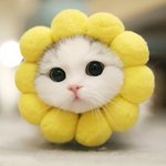 [댓글부탁해] 나<b>재민</b> 남궁민 김재원 강민희 공통점이 뭐임