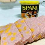 <b>치즈</b> 스펨?? 새로 나왔다는디