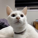 [댓글부탁해] <b>민</b><b>증</b>있는사람 부탁잇음 ㅠㅠㅠㅠ̑̈