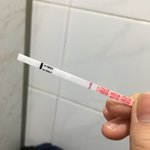 [19] 임신테스<b>트기</b>좀봐줘