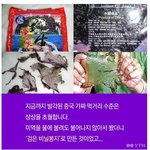 [모두드루와] <b>대륙</b> 음식 클라스