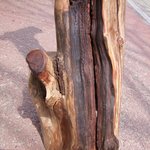 <b>보물섬</b> 이현석 여친 존ㄴ 예쁘지않냐