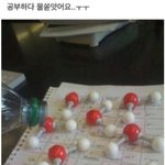[드루와] 초딩들이 시끄럽게 놀아서 <b>주민</b>들 화나심ㅋㅋㅋㅋㅋㅋ