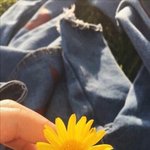 질염가격 궁금한애<b>드라</b>