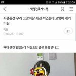 [댓글부탁해] 듣보<b>래퍼</b>들 죶목 진짜 오짐