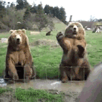 [인생무상] 기묘한 이야기(스무번째 - 숨바꼭질)