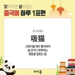 노랑 <b>발목</b> 컨버스 사고싶다요