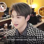 [강다니엘] [보그TV] 강다니엘과 함께한 고양이 월드컵