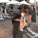 [방탄소년단] 셋 다 발차기 <b>스탈</b> 너무 다른ㅋㅋ