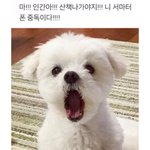 [댓글부탁해] 아직도 호텔델루나 <b>여운</b>이 안 가고 버틴다;;