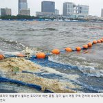 [댓글부탁해] 도쿄올림픽 떵물수<b>영장</b> 근황