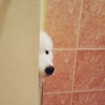 [댓글부탁해] <b>페임</b>렙 아냐 너네