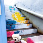 [EXO] 비비 이 사진 볼때마다 <b>귀마개</b> 한거같다