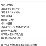 [댓글부탁해] 160만원 받는 <b>사람의</b> 가계부
