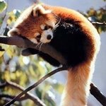 [댓글부탁해] <b>전학</b>가면 보러와?