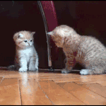 [EXO] 가위 자주 눌리는사람?