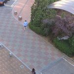 [댓글부탁해] 남매가 집에 같이 <b>올</b> <b>때</b> 특징