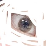 <b>화질</b> 미안 ㅜ
