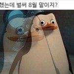 [댓글부탁해] 야드라 <b>코필러</b>에어팟추반좀해조
