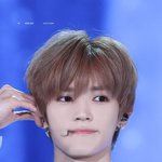 <b>참조</b> 댓글