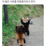[19] 너네 공부 팁 있냐