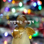 [너가봤으면] 사랑하는 이에게~