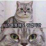 [19] <b>일산</b>에 어느 고등학교에서