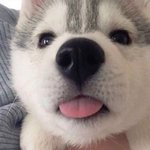 [꼭조언부탁] <b>IT</b> 관련 직종 가지고 계신 분들!!