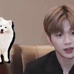 [강다니엘] 싱가폴팬미 인터뷰 또 떴오