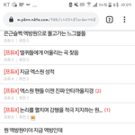 [프듀<b>X</b>] 무개념 팬덤탄생