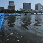 [드루와] <b>도쿄</b>올림픽 물 상태 봄...?