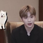 [강다니엘] 강다니엘 멈머얘기할때랑 먐미얘기할때 <b>온도</b>차