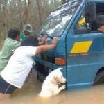 [드루와] 댕댕이 키운 <b>보람</b>이 느껴질 때