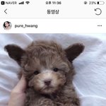아이폰<b>기본</b><b>카메라</b>가 셀카<b>앱</b>보다 좋은듯??