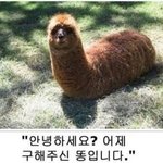 [댓글부탁해] <b>cj</b>대1한통1운택배받을때 있잖아