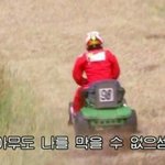 [댓글부탁해] 4종합2교과러인데