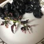<b>포도</b>먹방 시작합니다