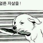 학교 왜 <b>가야</b>돼